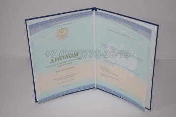 Диплом Колледжа 2022г СпецБланк в Екатеринбурге