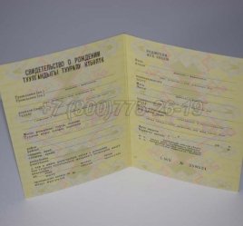 Свидетельство о Рождении 1987г Киргизской ССР в Екатеринбурге