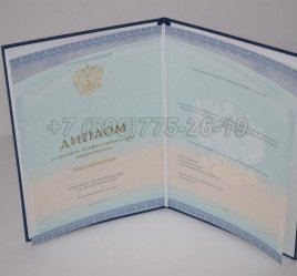 Диплом Колледжа 2014г СпецБланк в Екатеринбурге